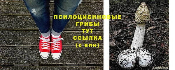соль курить ск Дмитров